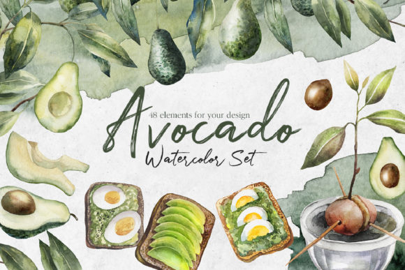 Avocado Watercolor Set for Modern Design