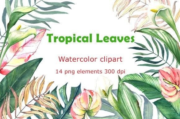 Bringing the Tropics to Life with Hand Painted Watercolor Clipart