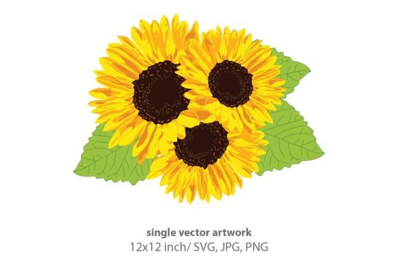 Elevating Brand Identity and Creative Workflows with the Sunflower Isolated on White SVG
