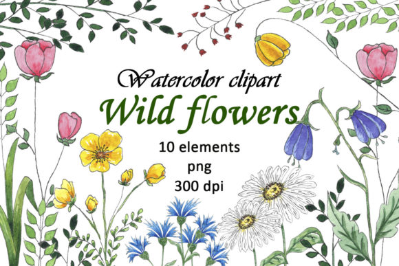 Elevating Digital Design with Authentic Watercolor Wild Flowers Clipart PNG