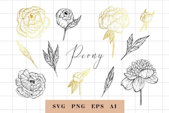 Elevating Modern Design Workflows with Hand Drawn Peony Flowers PNG and SVG Assets
