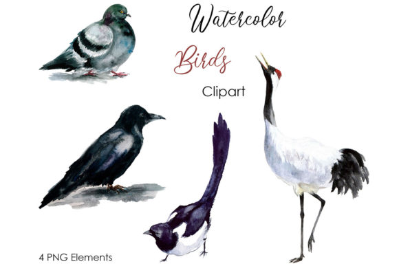 Elevating Visual Narratives with Hand-Painted Watercolor Digital Clipart Birds Art Png