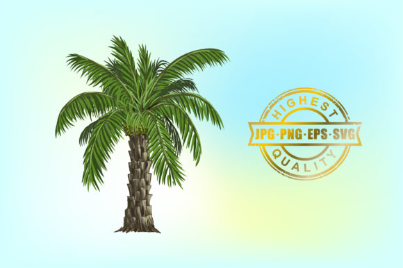 Elevating Your Design Projects with Premium Date Palm Tree Vector Hand Drawings