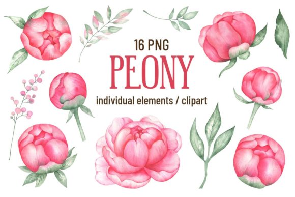 Elevating Your Designs: A Complete Guide to Watercolor Pink Peony Flower Clipart