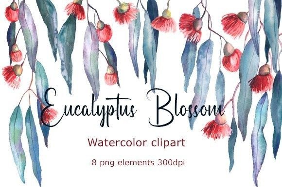 Evaluating the Practical Value of Eucalyptus Clipart Watercolor for Professional Design