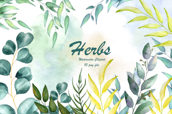 Herbs Clipart, Greenery & Foliage Guide