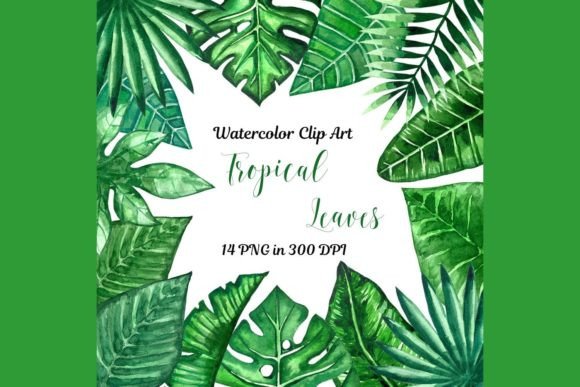 Unlocking Tropical Elegance: A Guide to High-Quality Watercolor Leaf Clipart for Modern Design
