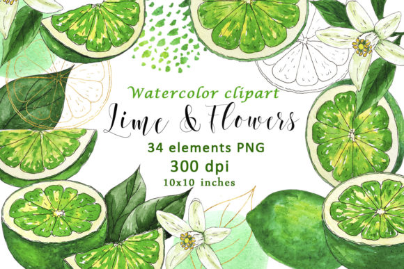 Vibrant Watercolor Lime Fruit Flower Clipart PNG