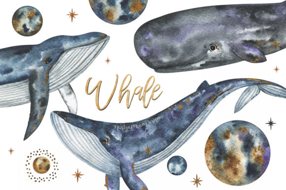 Whales, Space & Watercolor Clipart for Creators